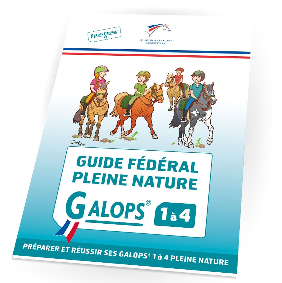 les fondamentaux de l'équitation galops 5 à 7