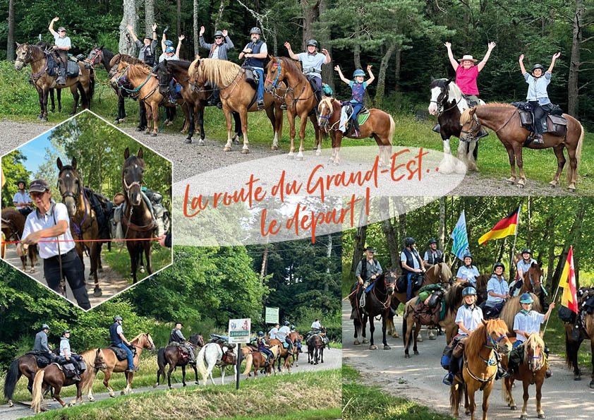 Centres de tourisme équestre dans les Vosges proposant de la randonnée  équestre