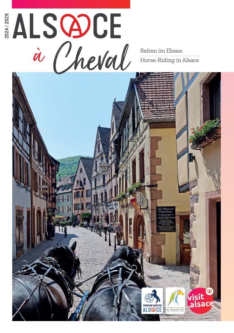 Télécharger la brochure
