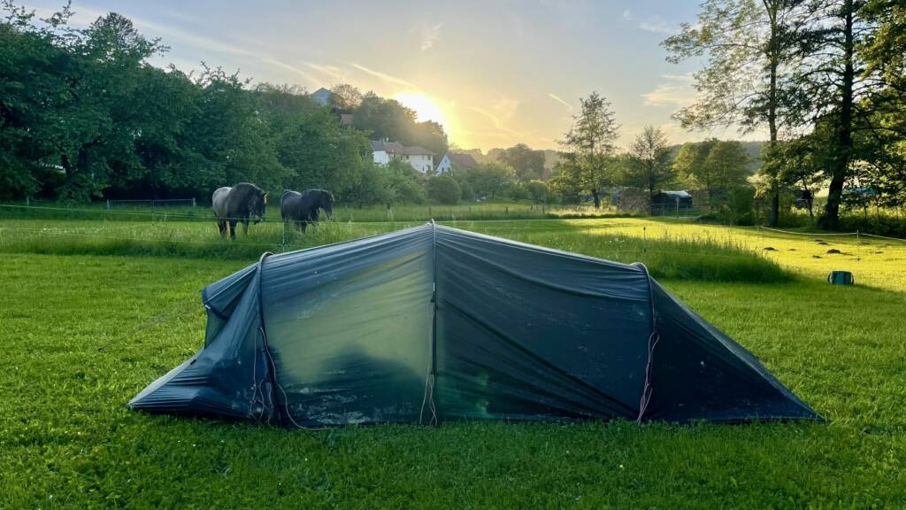 Voyager avec son cheval – Niveau 3
